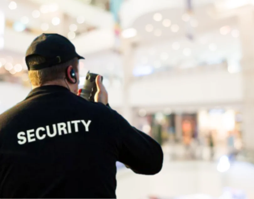 Vigilante de seguridad blog